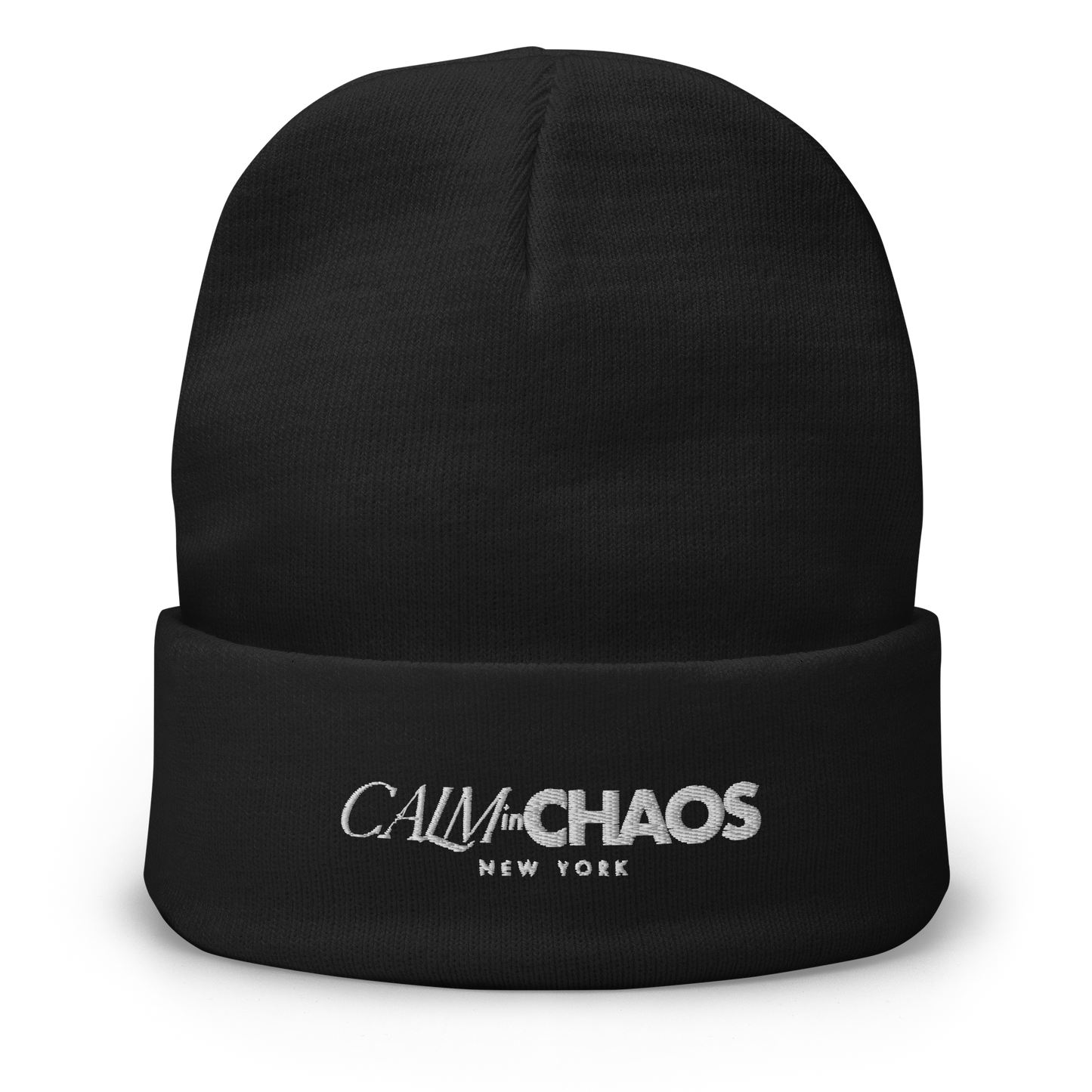 Embroidered Beanie | the prologue